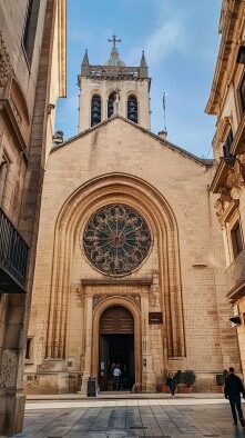 services-img Services