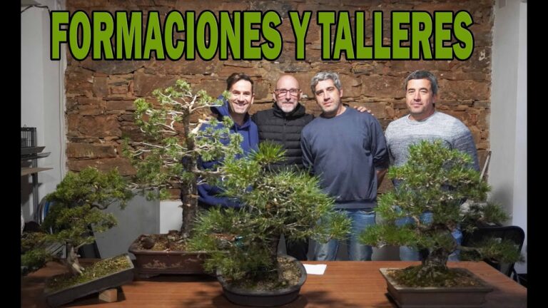 Talleres de Meditación en Reus: Guía Completa