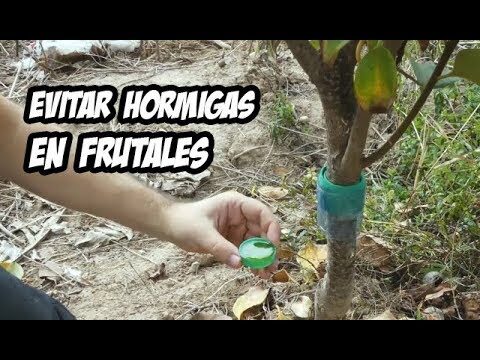 Tienda de Productos sin Pl&aacute;stico en La Selva del Camp: D&oacute;nde Encontrarla
